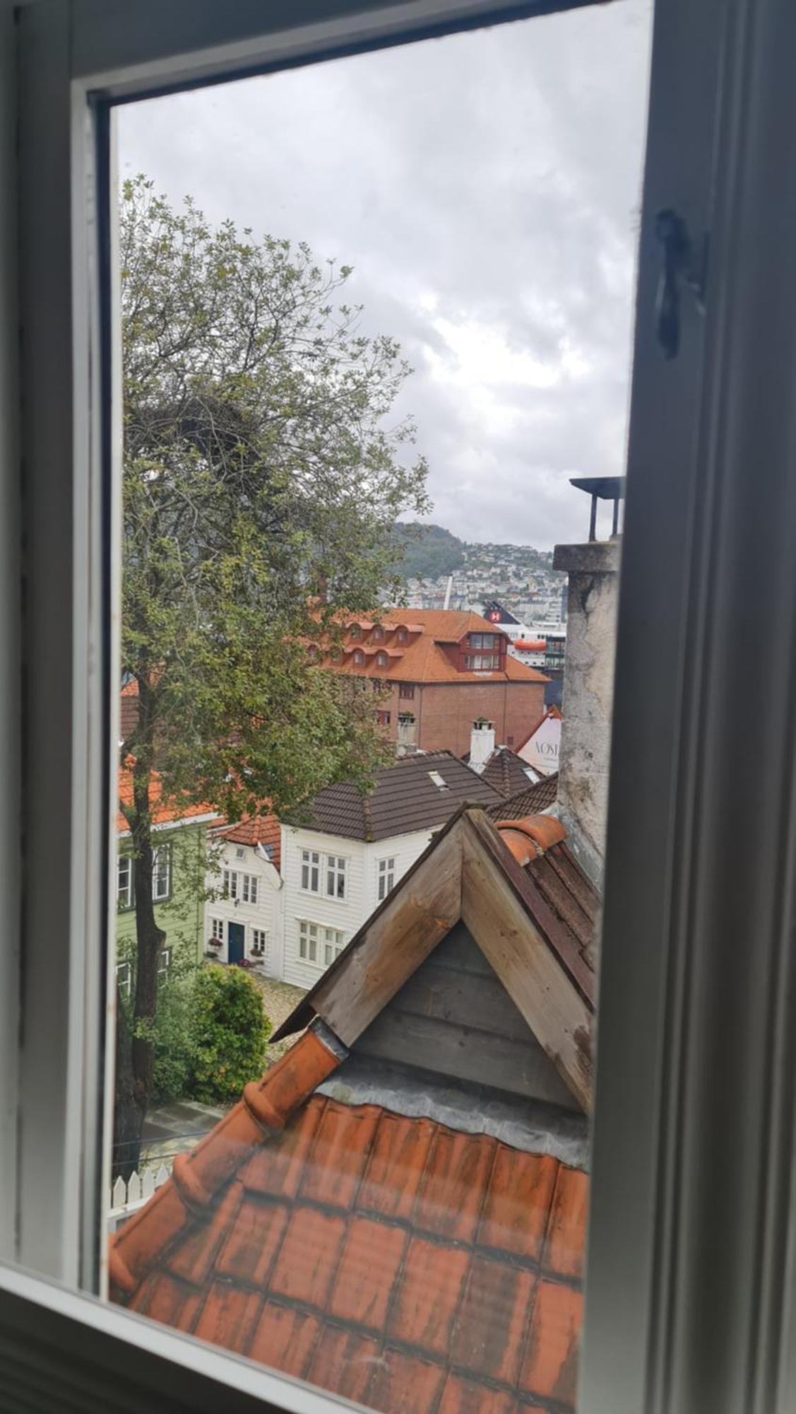 Amunds Apartment Bergen Exteriör bild